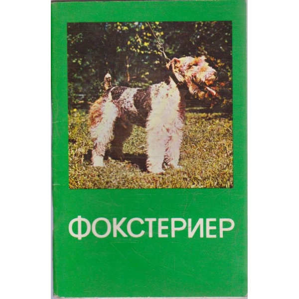 Фокстериер