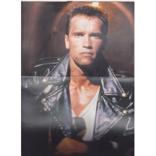 Arnold Schwarzenegger-Amber Smith-Плакати