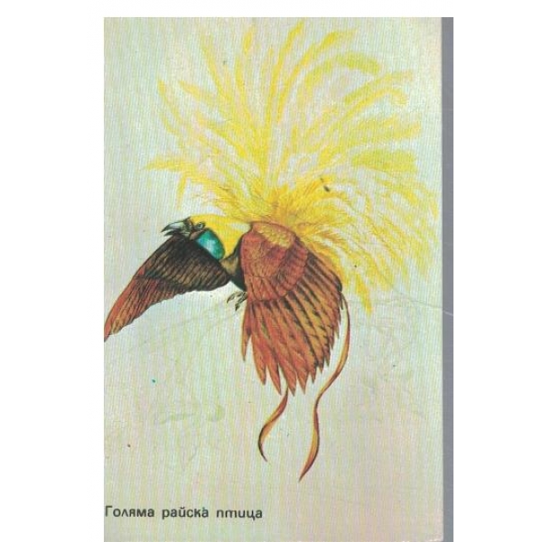 Календар-1984 г.-Голяма райска птица
