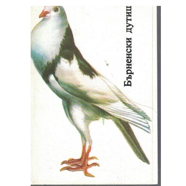 Календар-1986 г.-Бърненски дутиш-2 бр.