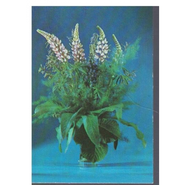 Календар-1988 г.