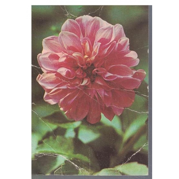 Календар-1990 г.