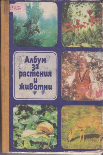 От идеи до модели