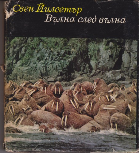 Вълна след вълна