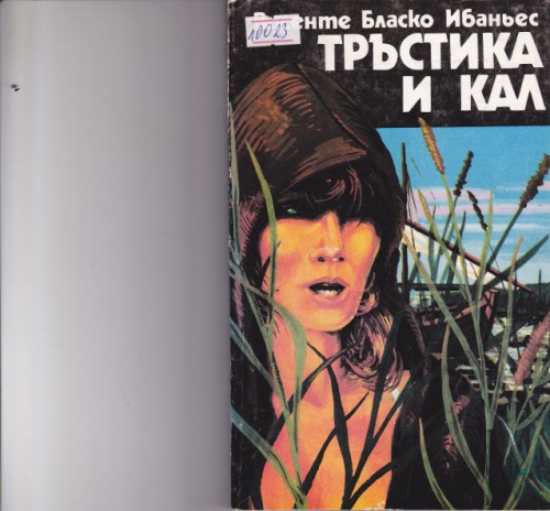 Тръстика и кал