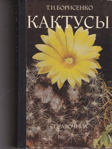 Кактусы