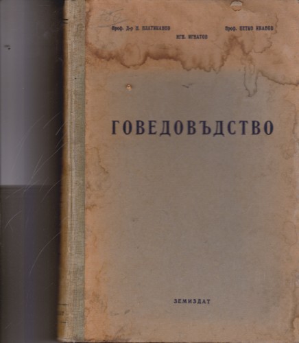 Говедовъдство
