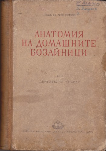 Анатомия на домашните бозайници