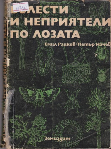 Болести и неприятели по лозата