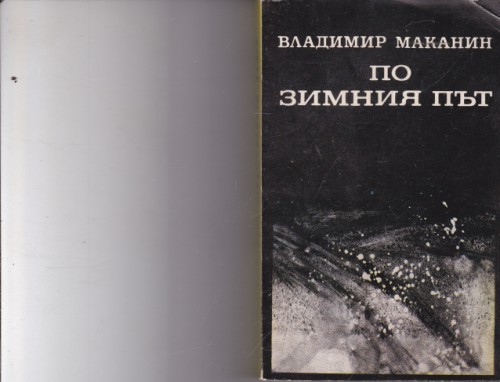 По зимния път