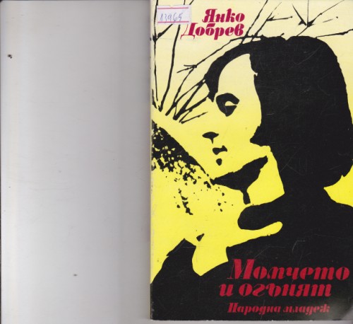Момчето и огънят