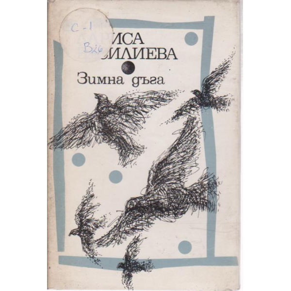 Зимна дъга-избрани стихове
