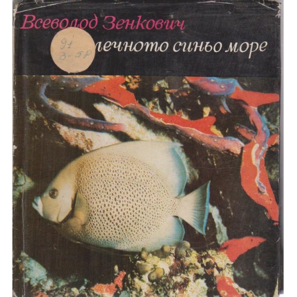 В далечното синьо море