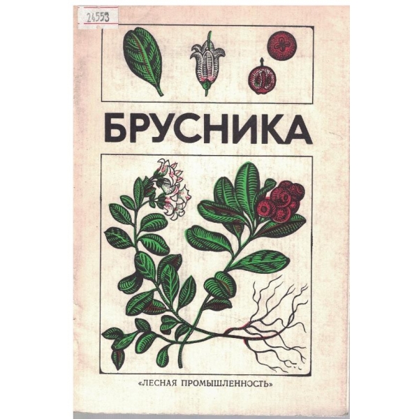 Брусника