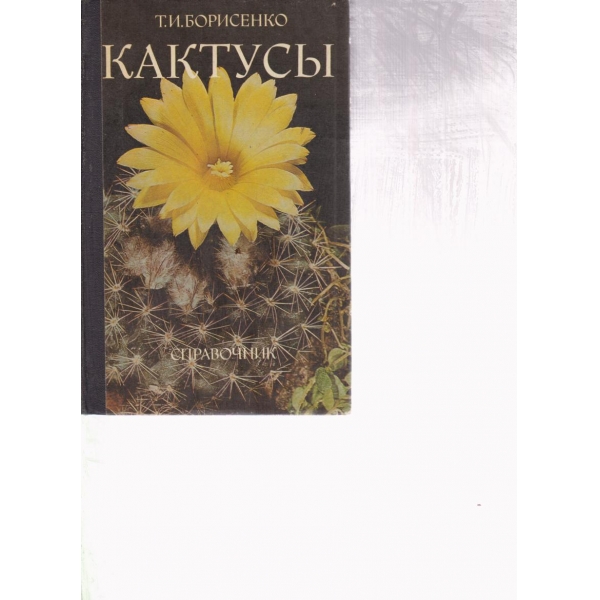 Кактусьи