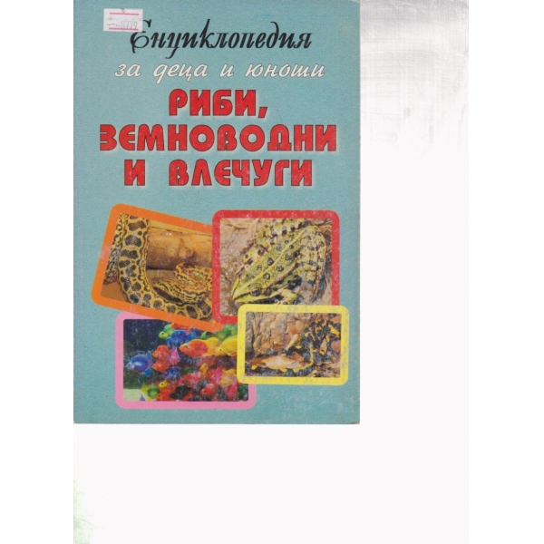 Риби,земноводни и влечуги