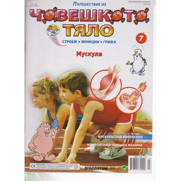 Човешкото тяло-Мускули