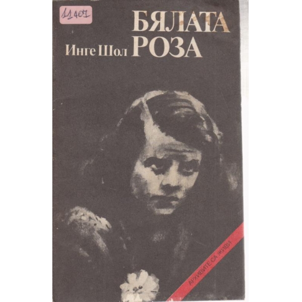 Бялата роза