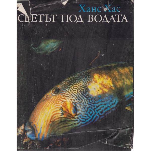 Светът под водата