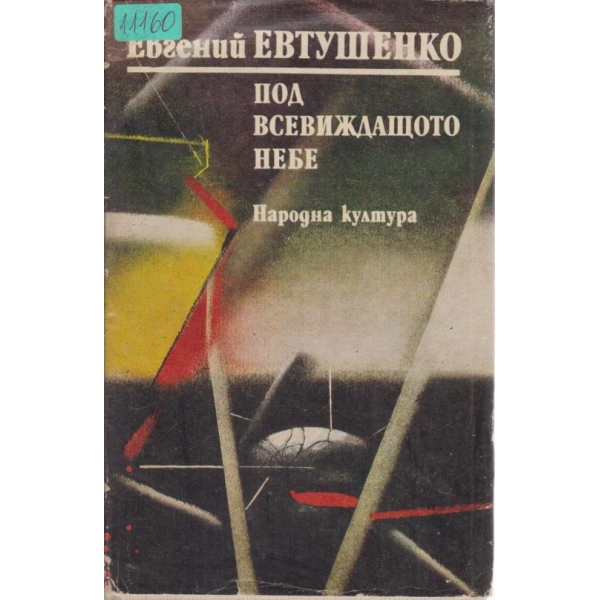 Под всевиждащо небе