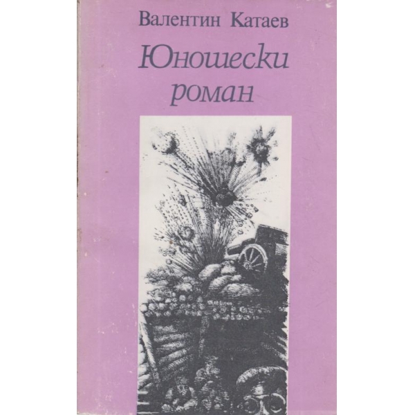 Юношески роман