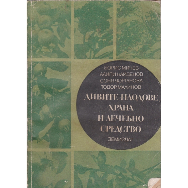 Дивите плодове-храна и лечебно средство