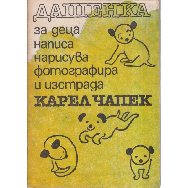 Дашенка за деца написа нарисува фотографира и изстрада