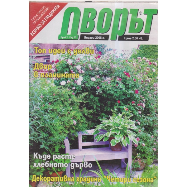 Дворът-януари-2008